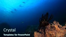  Presentation with divers - Beautiful PPT theme featuring scuba divers descend a buoy line backdrop and a navy blue colored foreground