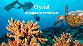  Presentation with coral reef - Amazing PPT layouts having scuba divers explore a coral backdrop and a teal colored foreground