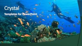 Presentation with coral reef - Presentation theme consisting of scuba divers explore a coral background and a teal colored foreground