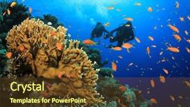  Presentation with sea coral - Cool new slides with scuba divers explore a coral backdrop and a tawny brown colored foreground