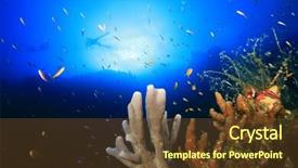 Presentation with divers - PPT theme enhanced with scuba divers swim over coral background and a tawny brown colored foreground