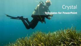 Presentation with divers - Audience pleasing slide set consisting of scuba divers swimming under water backdrop and a teal colored foreground