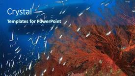  Presentation with scuba diving - Theme enhanced with scuba diving boat moored over coral reef from underwater background and a ocean colored foreground