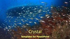  Presentation with scuba diving - Amazing PPT layouts having scuba diving boat moored over coral reef from underwater backdrop and a tawny brown colored foreground