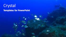  Presentation with scuba diving - Cool new presentation theme with scuba diving in ocean backdrop and a dark gray colored foreground