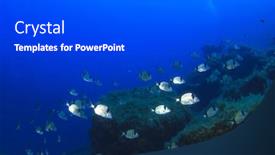  Presentation with scuba diving - Beautiful PPT theme featuring scuba diving in ocean backdrop and a dark gray colored foreground
