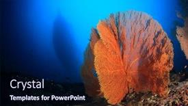  Presentation with scuba diving - Audience pleasing slide deck consisting of scuba diving liveaboard boat moored backdrop and a navy blue colored foreground