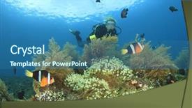  Presentation with scuba diving - Presentation design with scuba diving on a coral reef with anemones and clownfish background and a ocean colored foreground