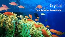  Presentation with scuba diving - Slides featuring scuba diving on a coral reef background and a gray colored foreground