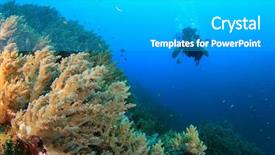  Presentation with scuba diving - Beautiful slide set featuring scuba diving on coral reef backdrop and a light gray colored foreground