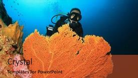  Presentation with scuba diving - Amazing slide set having scuba diving on coral reef backdrop and a red colored foreground