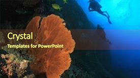  Presentation with scuba diving - Colorful slides enhanced with scuba diving on coral reef backdrop and a tawny brown colored foreground