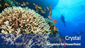  Presentation with scuba diving - Audience pleasing slides consisting of diving over a beautiful coral backdrop and a ocean colored foreground