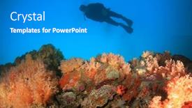  Presentation with scuba diving - Audience pleasing theme consisting of scuba-diving-over-underwater-coral backdrop and a gray colored foreground