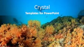  Presentation with scuba diving - PPT layouts featuring scuba-diving-over-underwater-coral background and a gray colored foreground