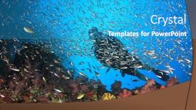  Presentation with scuba diving - Cool new presentation theme with scuba-diving-through-fish backdrop and a teal colored foreground