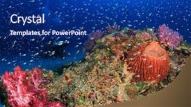  Presentation with scuba diving - PPT theme with scuba diving underwater coral reef background and a navy blue colored foreground