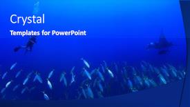  Presentation with scuba diving - Beautiful PPT layouts featuring scuba diving with manta ray backdrop and a gray colored foreground