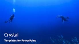  Presentation with scuba diving - Beautiful slide deck featuring scuba diving with manta ray backdrop and a dark gray colored foreground