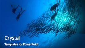  Presentation with scuba diving - Audience pleasing PPT layouts consisting of scuba diving with school barracuda backdrop and a ocean colored foreground