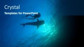  Presentation with scuba diving - Cool new PPT theme with scuba diving with whale shark backdrop and a dark gray colored foreground