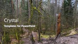  Presentation with fairy - Audience pleasing PPT layouts consisting of sculpture-of-a-fairy backdrop and a tawny brown colored foreground