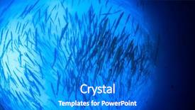  Presentation with fish spoilage - Cool new presentation with sea - shoal chevron barracuda fish backdrop and a cobalt blue colored foreground