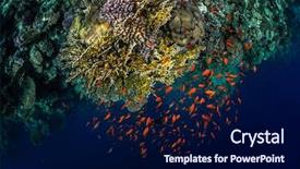  Presentation with sea coral - Amazing PPT layouts having sea - top view of the coral backdrop and a navy blue colored foreground