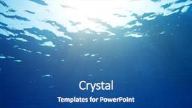  Presentation with tranquil - Audience pleasing PPT theme consisting of sea - tranquil underwater scene with copy backdrop and a ocean colored foreground