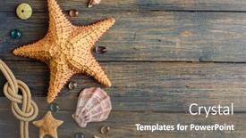  Presentation with sea water - Amazing PPT theme having sea-and-ocean-gifts backdrop and a gray colored foreground