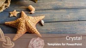  Presentation with pirate - Audience pleasing PPT theme consisting of sea-and-ocean-gifts backdrop and a coral colored foreground