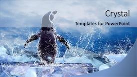  Presentation with water drops - Theme consisting of fresh vegetables spices and herbs with blackboard food ingredients background and a coral colored foreground