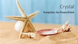  Presentation with sea shells - Slides consisting of sea-background-with-a-variety background and a light blue colored foreground