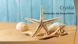  Presentation with sea shells - PPT theme with sea-background-with-a-variety background and a light blue colored foreground