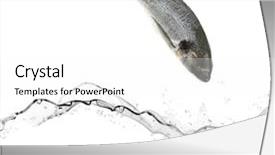  Presentation with sea water - Presentation theme consisting of sea bass fish jumping background and a white colored foreground