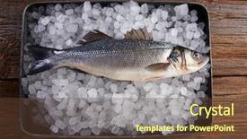  Presentation with ice - Cool new PPT layouts with sea bass fresh fish backdrop and a tawny brown colored foreground