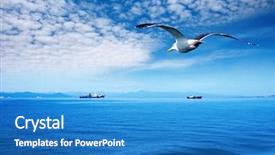  Presentation with seagull - Audience pleasing presentation consisting of sea birds - blue sky ocean and flaying backdrop and a teal colored foreground