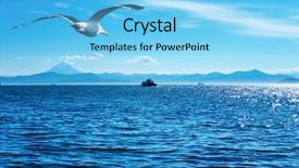  Presentation with seagull - Beautiful presentation theme featuring sea birds - flaying seagull backdrop and a light blue colored foreground