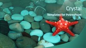  Presentation with sea shells - Slide deck enhanced with sea bottom with shells and stones background and a ocean colored foreground