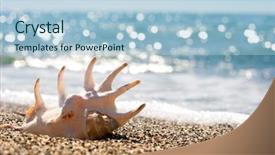  Presentation with seashell - Cool new PPT theme with  backdrop and a  colored foreground