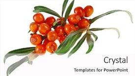  Presentation with berries - Amazing PPT layouts having inform inspire - blue stamp on a glittering backdrop and a light blue colored foreground