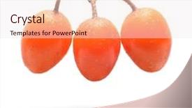  Presentation with medicine syrup - Amazing presentation design having sea buckthorn hippophae rhamnoides fruits have been used in the traditional medicine internally as tea juice or syrup for treatment of infections cold and flu backdrop and a sky blue colored foreground