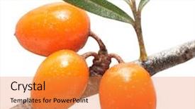  Presentation with medicine syrup - Beautiful slide set featuring sport shoes and water backdrop and a tawny brown colored foreground