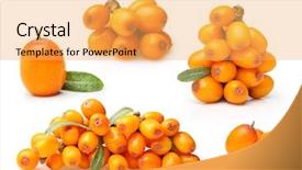  Presentation with oil - Slides enhanced with sea buckthorn isolated background and a yellow colored foreground