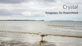  Presentation with coast line - Audience pleasing slide deck consisting of sea coast line with sand beach backdrop and a sky blue colored foreground