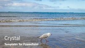  Presentation with coast line - Cool new PPT layouts with sea coast line with sand beach backdrop and a gray colored foreground