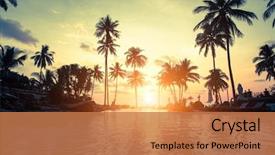 Presentation with palm tree - PPT theme with sea coast with palm tree background and a coral colored foreground