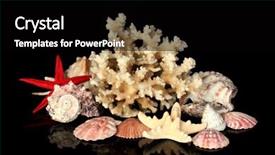  Presentation with sea shells - PPT layouts consisting of sea coral with shells isolated background and a black colored foreground