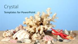  Presentation with sea shells - PPT theme with sea coral with shells background and a sky blue colored foreground