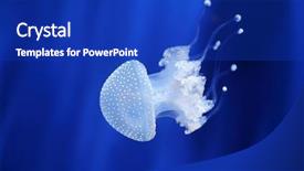  Presentation with jellyfish - Beautiful PPT layouts featuring girl in a warm sweater backdrop and a coral colored foreground